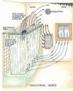 Konventionelle Dusche: die Konvektion kostet Energie